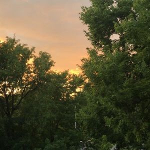 Meet your Posher, Afrah